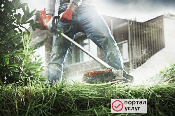 Фото Покос травы расчистка