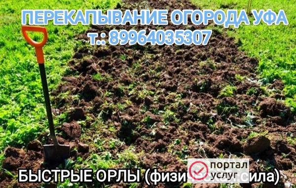 Фото Помощь на даче