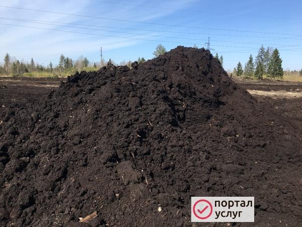 Фото Чернозем