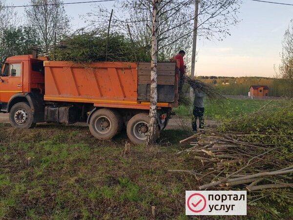 Фото Вывоз спиленных деревьев кустарников