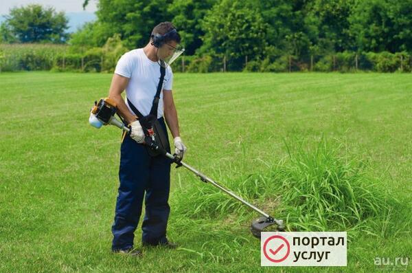 Фото подсобные рабочие