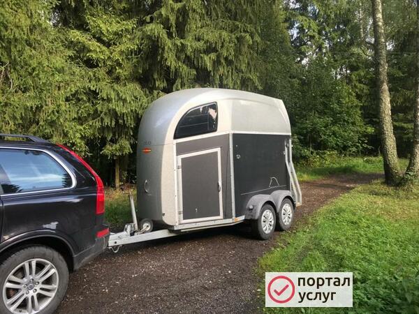 Фото Кони перевозка