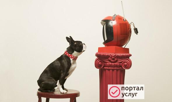 Фото  Установка спутниковых антенн