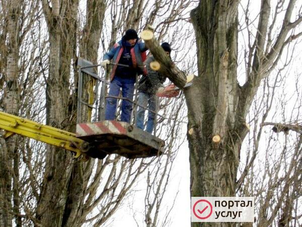 Фото Высотные работы