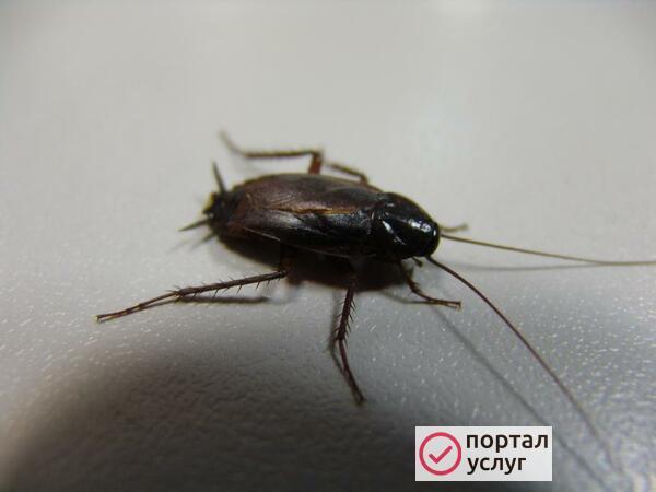 Фото СЭС услуги