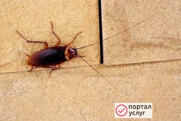 Фото СЭС услуги