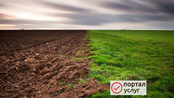 Фото Вспашка земли фрезой
