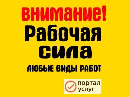 Фото Рабочая сила