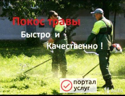 Фото Покос травы