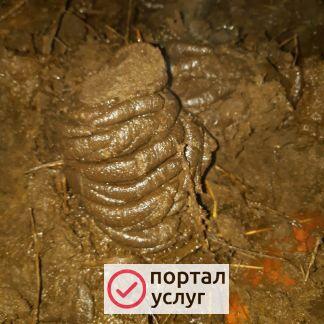 Фото Навоз