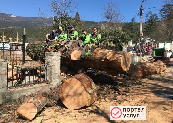 Фото Спил деревьев, дробление пней