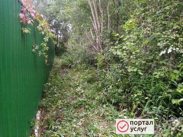 Фото Плотник