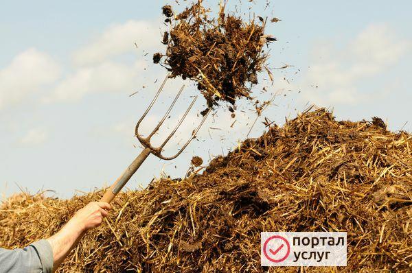 Фото Навоз, перегной.