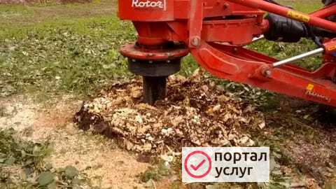 Фото Дренаж участка, спил деревьев 