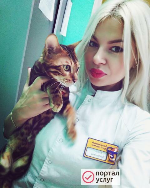 Фото Ветеринарный врач на дом 