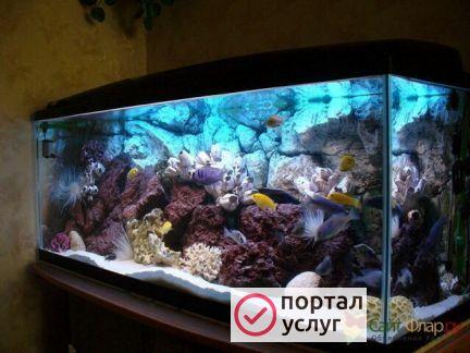 Фото Обслуживание и запуск аквариума