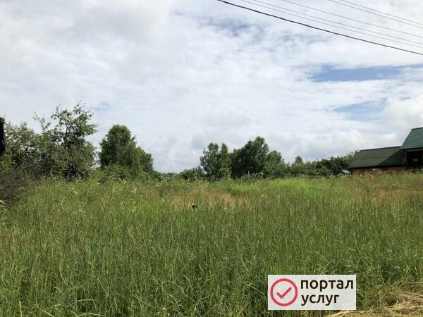 Фото Покос травы