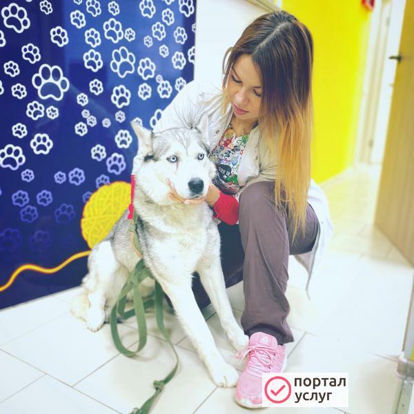 Фото Ветеринарный врач на дом