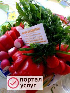Фото Выездные мероприятия