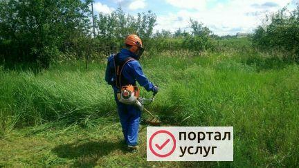 Фото Покос травы