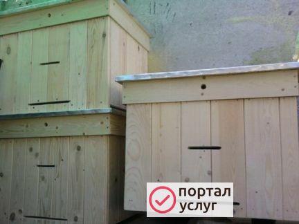 Фото Ульи