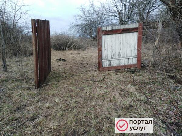 Фото Садовые работы