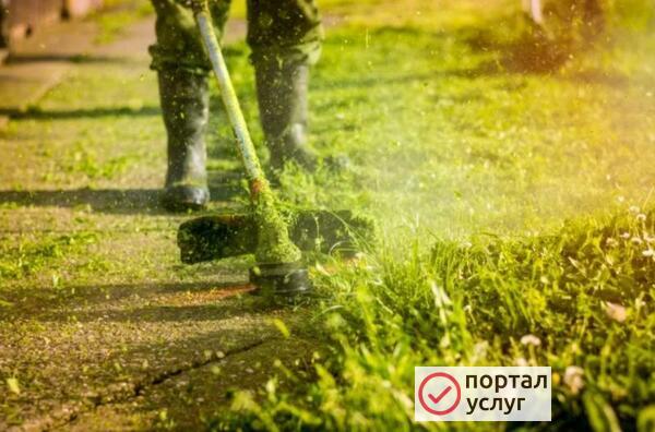 Фото Покос травы
