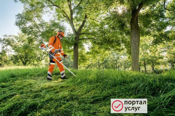 Фото Покос травы по городу