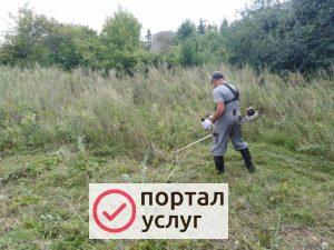 Фото Покос травы