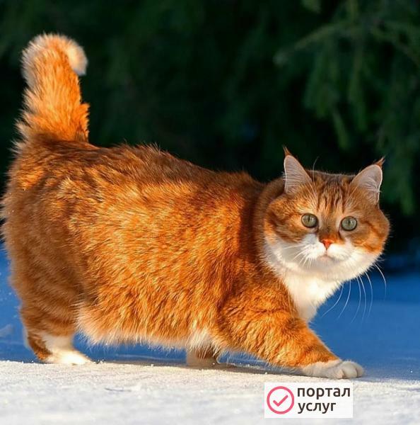 Фото Ремонт стиральных машин на дому