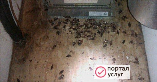 Фото СЭС услуги