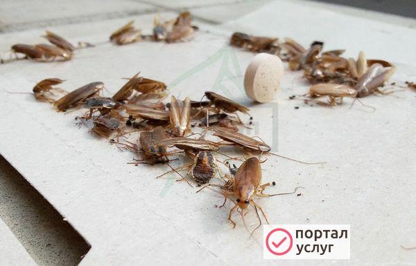 Фото СЭС услуги