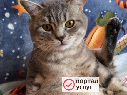Фото Вязка