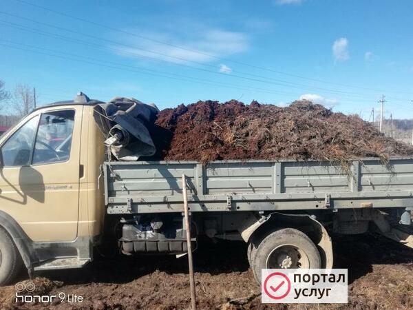 Фото Навоз, перегной крс 