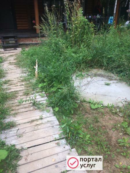 Фото Озеленение и благоустройство