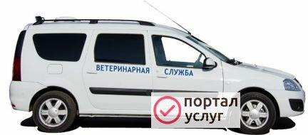 Фото Ветеринар