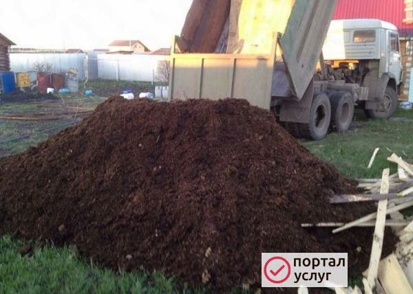 Фото Перегной