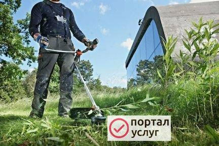 Фото Покос травы
