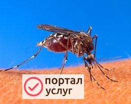 Фото Обработка от комаров