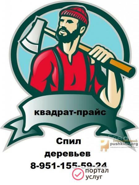 Фото СПИЛ ДЕРЕВЬЕВ