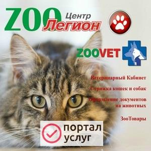 Фото Ветеринарные Услуги