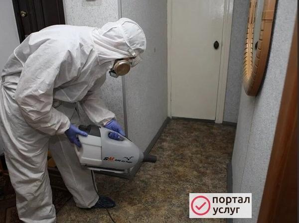 Фото СЭС услуги