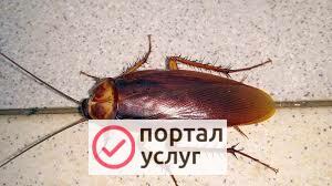 Фото СЭС услуги