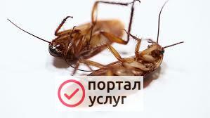 Фото СЭС услуги