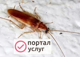 Фото СЭС услуги