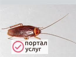 Фото СЭС услуги