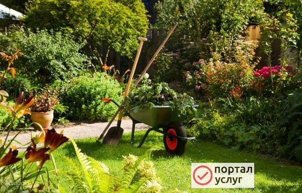 Фото Приведу в порядок двор