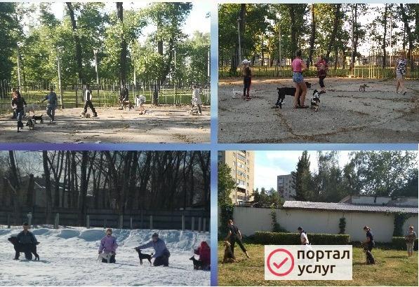 Фото Дрессировщик, хендлер, инструктор на вязку
