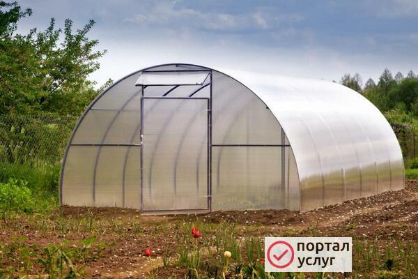 Фото Теплица