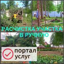 Фото Расчистка участков